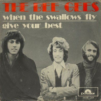 When The Swallows Fly