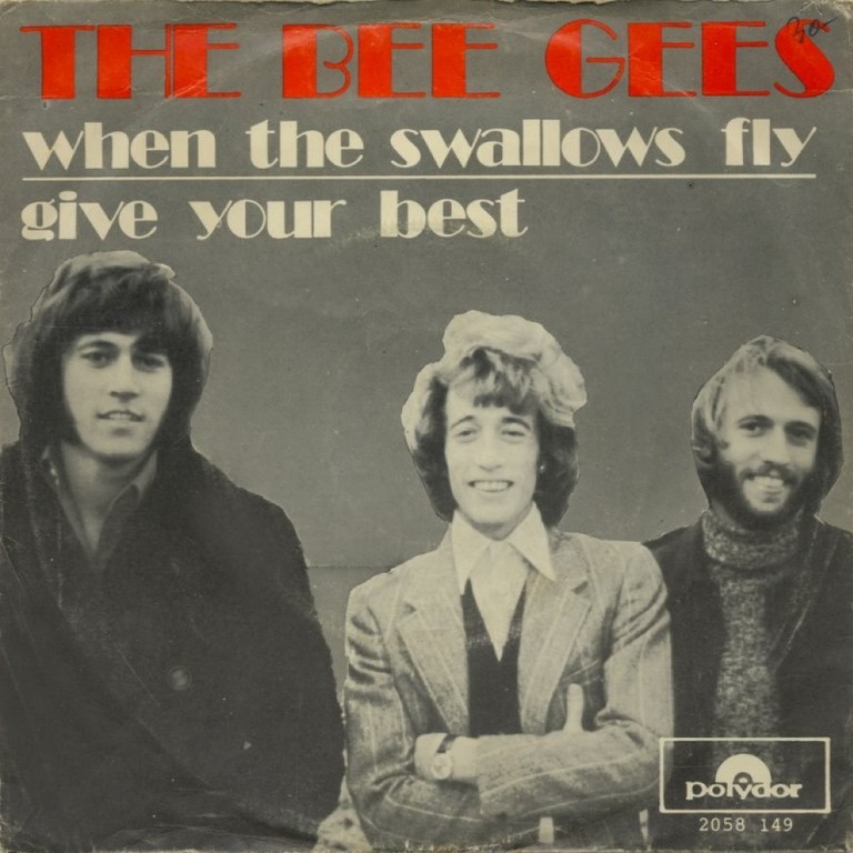 When The Swallows Fly